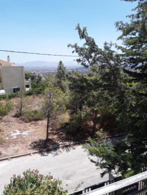 Ferienwohnung zwischen City Athen Strand und Flughafen in den Bergen